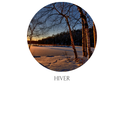 Séjours hiver